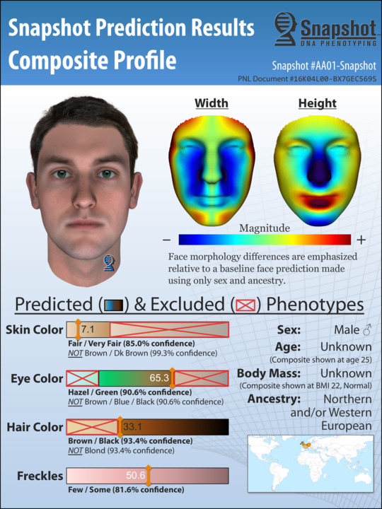 Sample Snapshot Composite